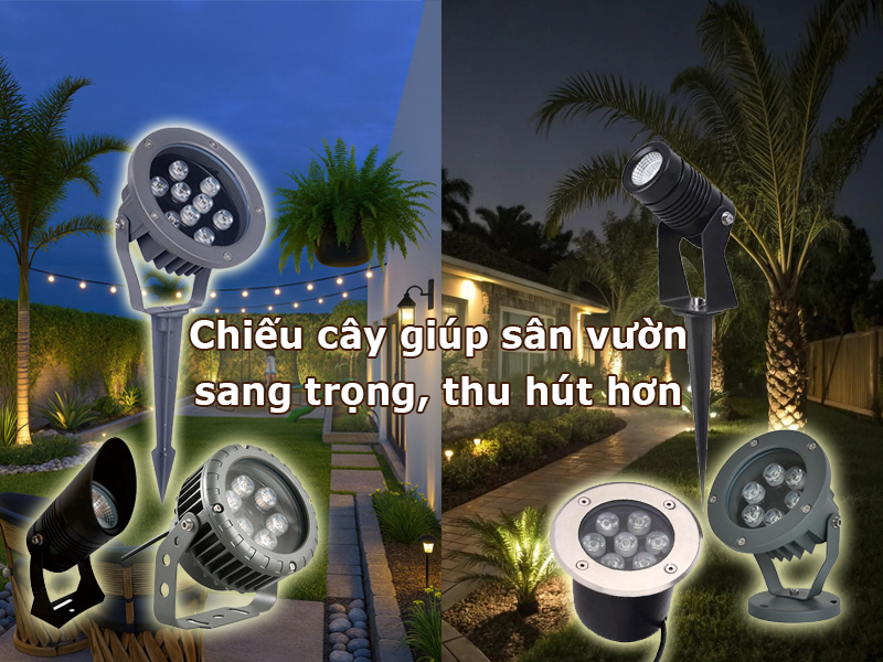 Chiếu cây giúp sân vườn sang trọng hơn