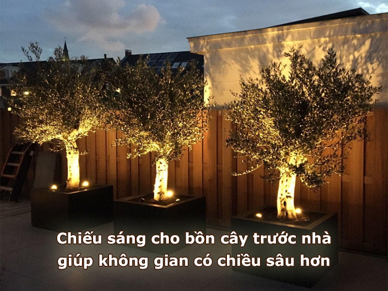 Chiếu sáng bồn cây trước nhà giúp không gian ấn tượng hơn