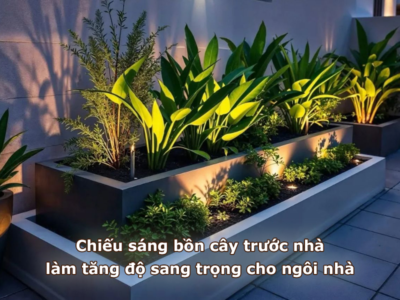 Chiếu sáng bồn cây trước nhà làm tăng sự sang trọng cho ngôi nhà