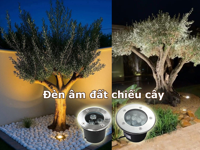 Đèn led âm đất chiếu cây