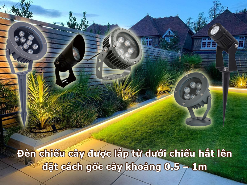 Đèn chiếu cây lắp cách gốc cây từ 0.5 - 1 mét