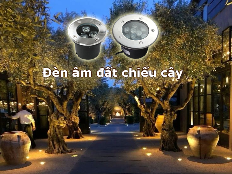 Đèn led âm đất chiếu cây mang lại tính thẩm mỹ cao cho cảnh quan