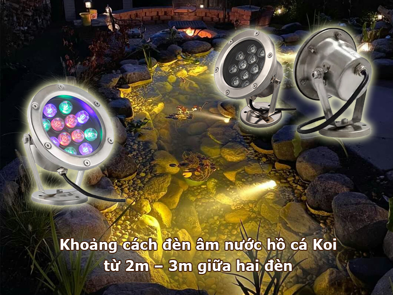 Khoảng cách giữa 2 đèn led âm nước hồ cá Koi thường từ 2 - 3 mét