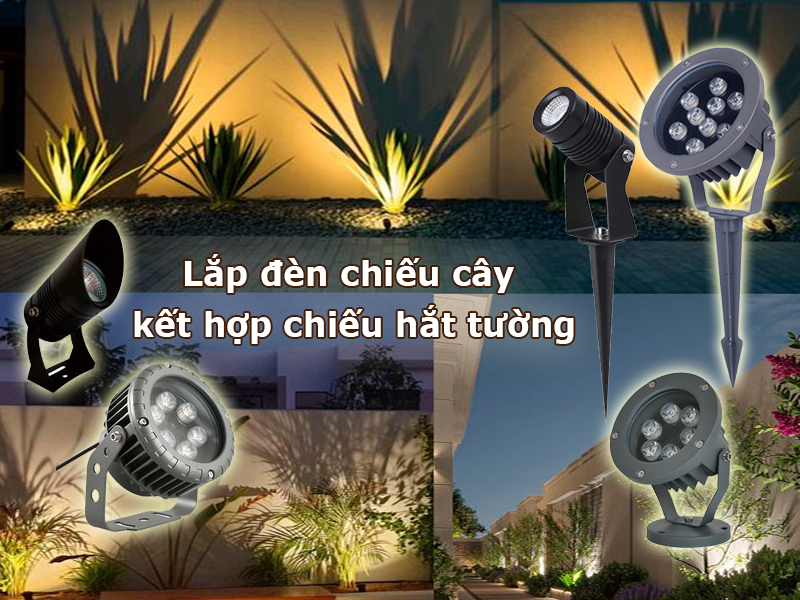Lắp đèn chiếu cây keets hợp chiếu hắt tường