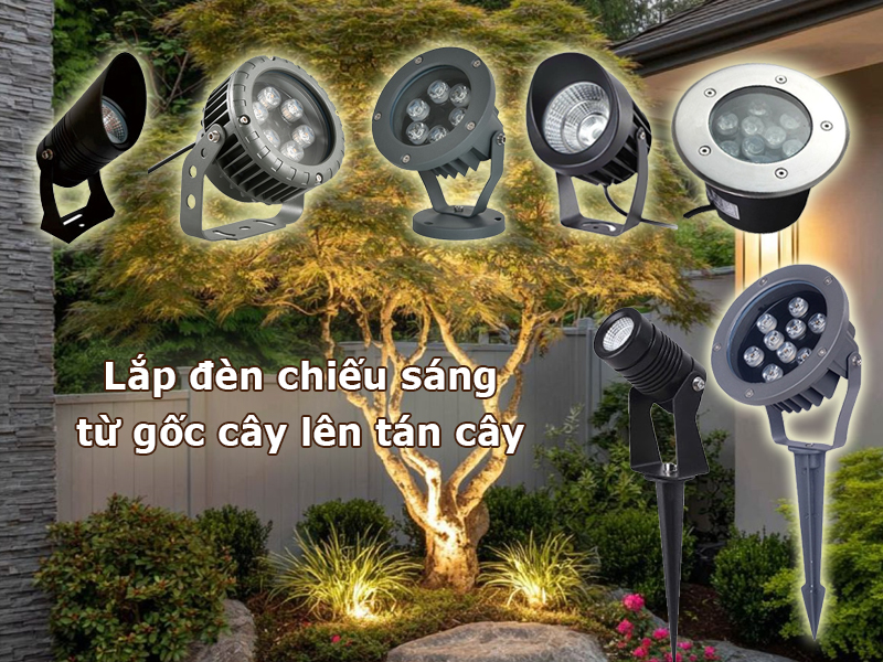 Lắp đèn chiếu sáng từ gốc cây lên tán cây