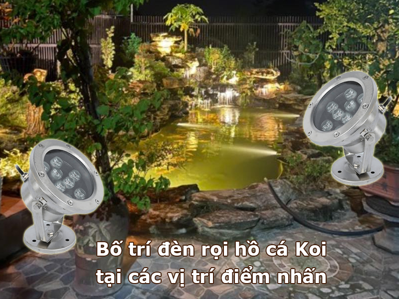 Lắp đèn rọi hồ cá Koi tại các khu vực điểm nhấn