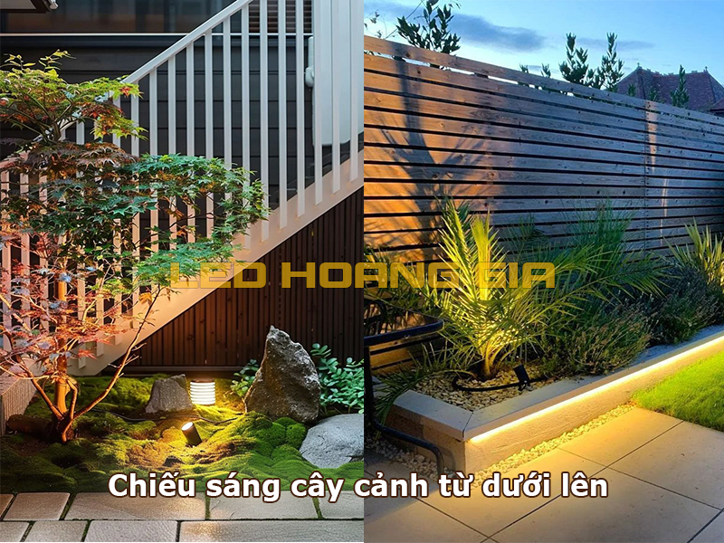Chiếu sáng cây cảnh từ dưới lên
