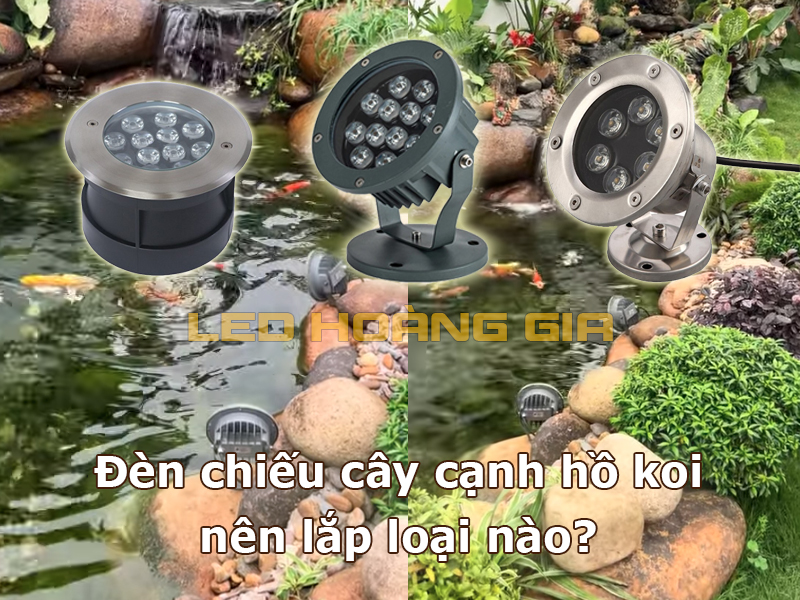 Đèn chiếu cây cạnh hồ koi nên lắp loại nào?