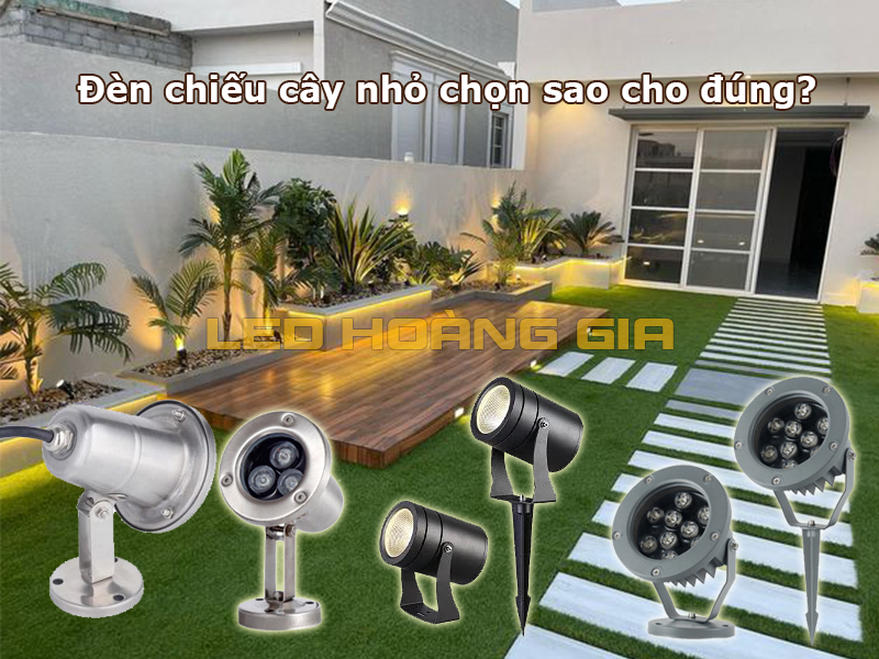 Đèn chiếu cây nhỏ chọn sao cho đúng
