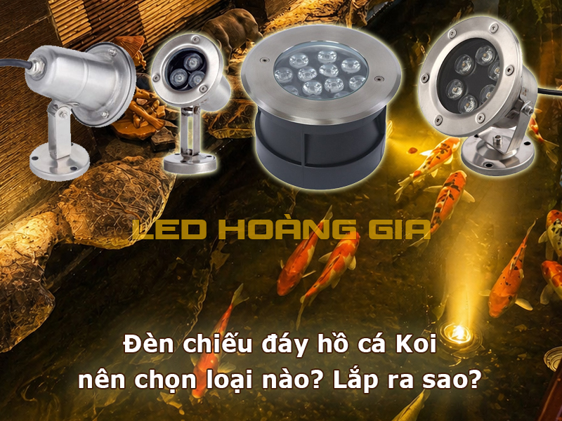 Đèn chiếu đáy hồ cá Koi nên chọn loại nào?
