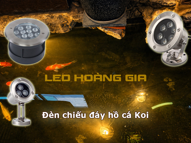 Đèn chiếu đáy hồ cá Koi