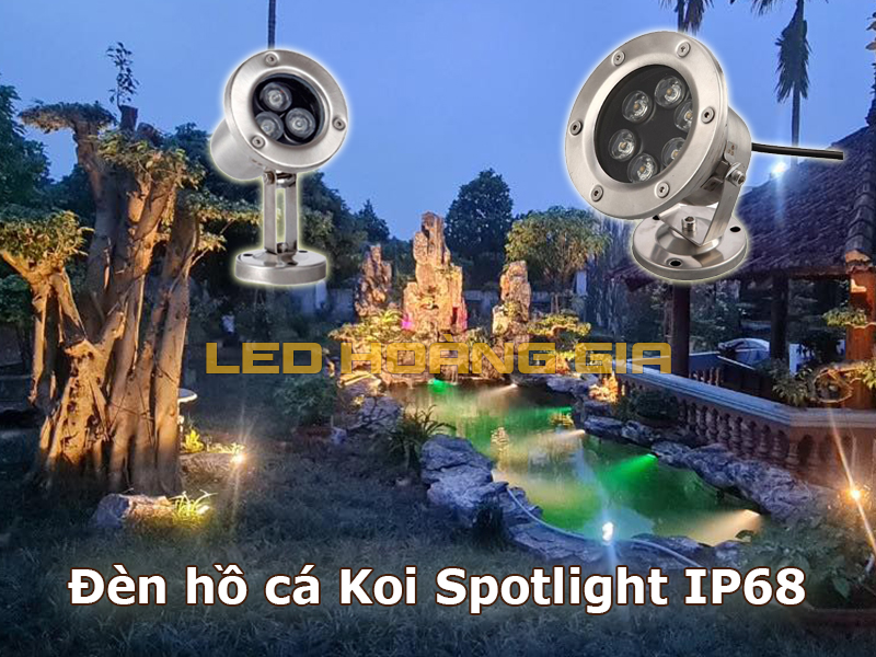 Đèn hồ cá Koi IP68