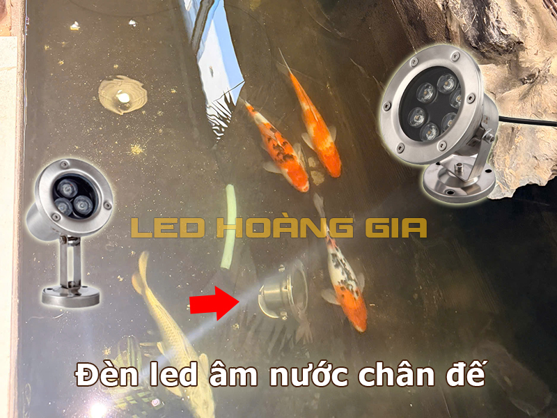 Đèn led âm nước dạng đế