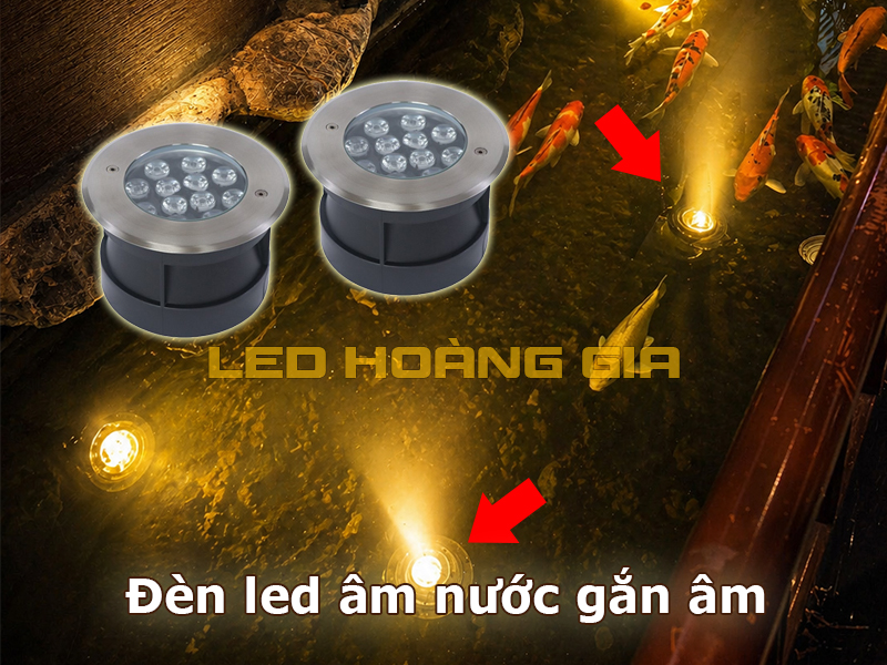Đèn led âm nước dạng âm sàn