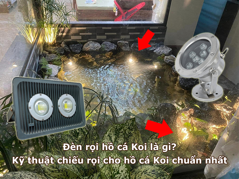 Đèn rọi hồ cá Koi là gì? Kỹ thuật chiếu rọi cho hồ cá Koi chuẩn nhất