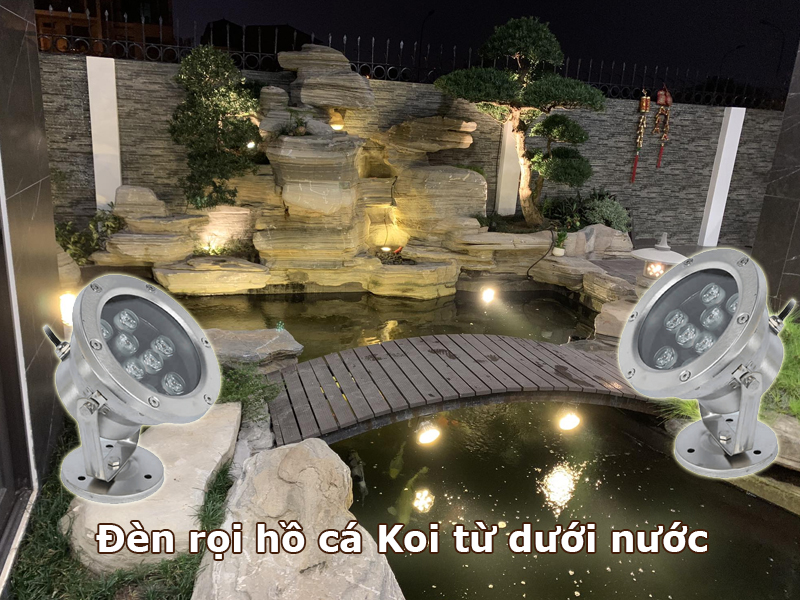 Đèn rọi hồ cá Koi từ dưới nước