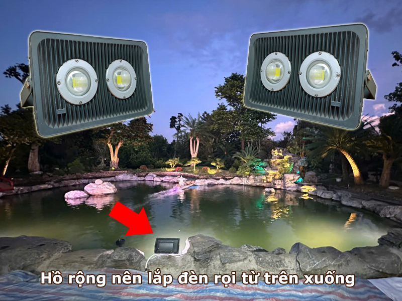 Hồ cá Koi rộng nên bố trí đèn rọi từ trên xuống
