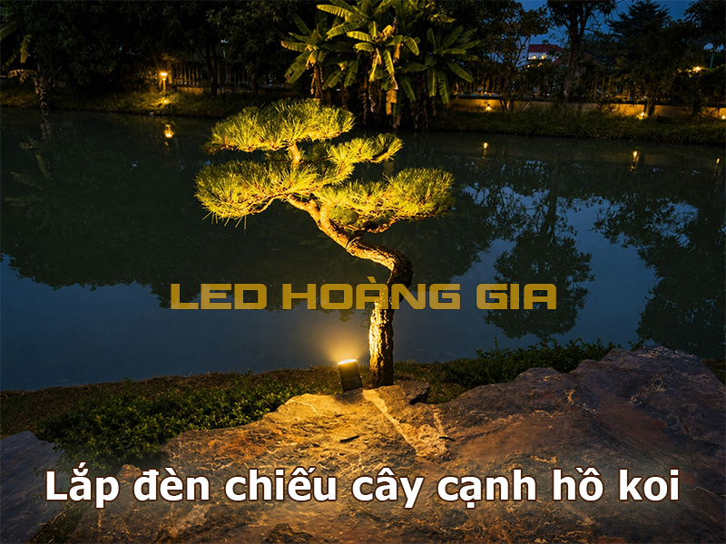 Lắp đèn chiếu cây cạnh hồ cá Koi