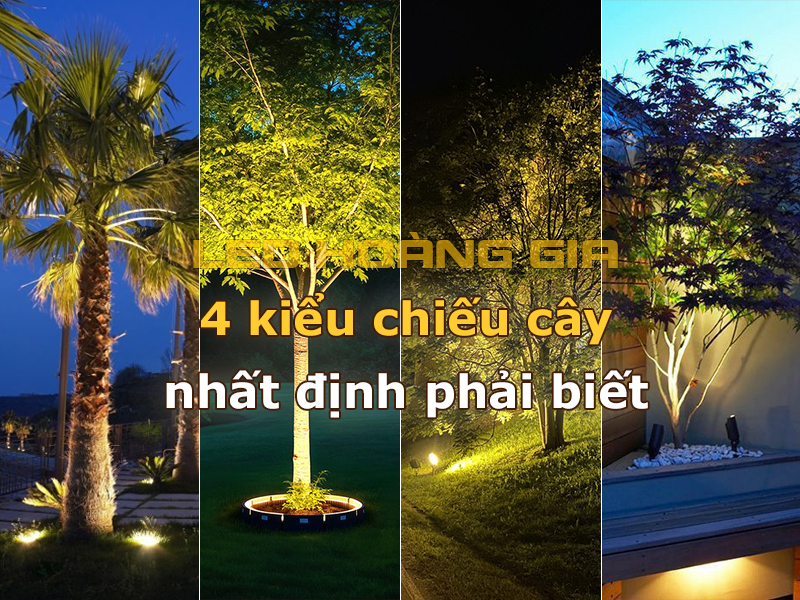 4 kiểu chiếu cây nhất định bạn nên biết trước khi mua