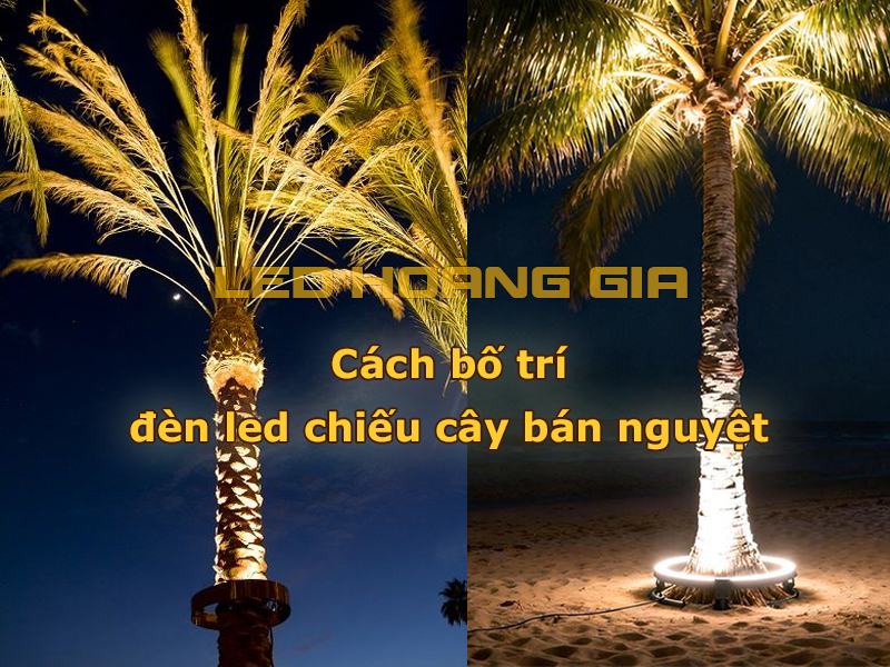 Cách bố trí đèn chiếu cây bán nguyệt