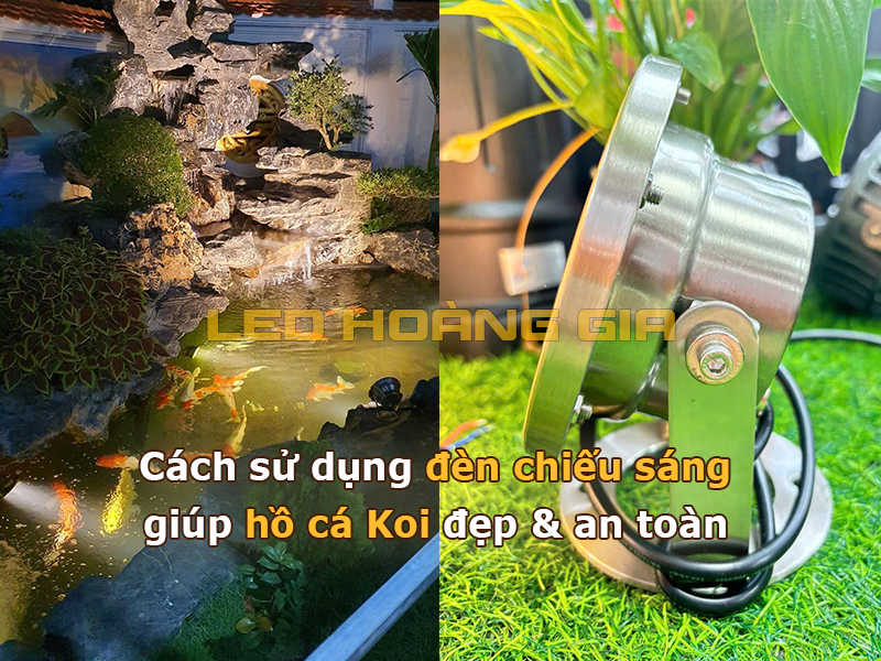 Cách sử dụng đèn chiếu sáng hồ cá Koi đẹp, an toàn cho cá