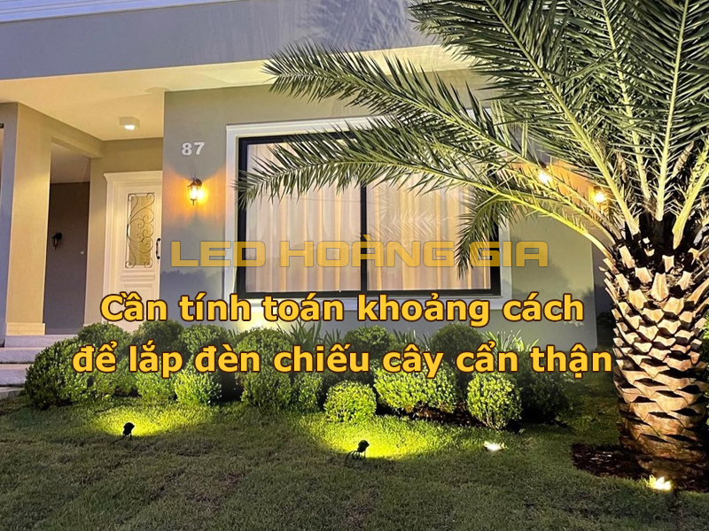 Cần tính toán khoảng cách lắp đèn led chiếu cây cẩn thận