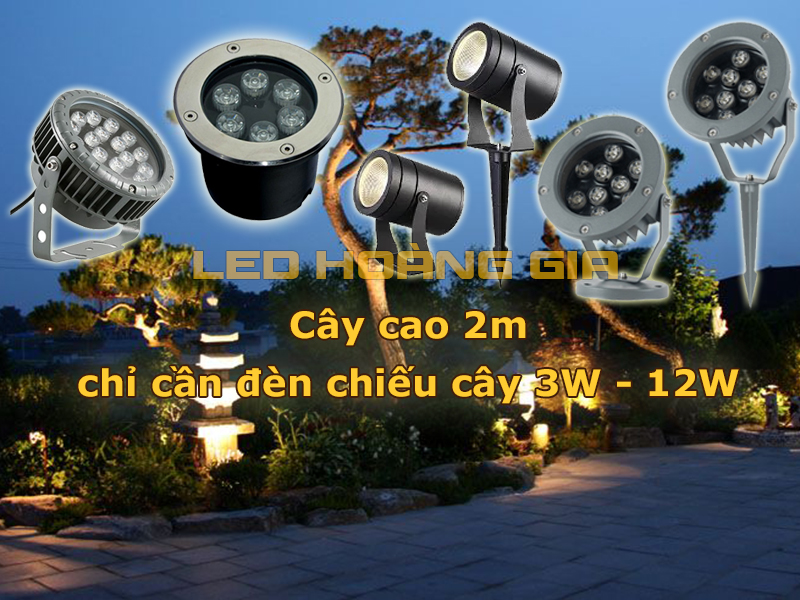 Cây cao 2m chỉ cần đèn chiếu cây từ 3W - 12W là đủ