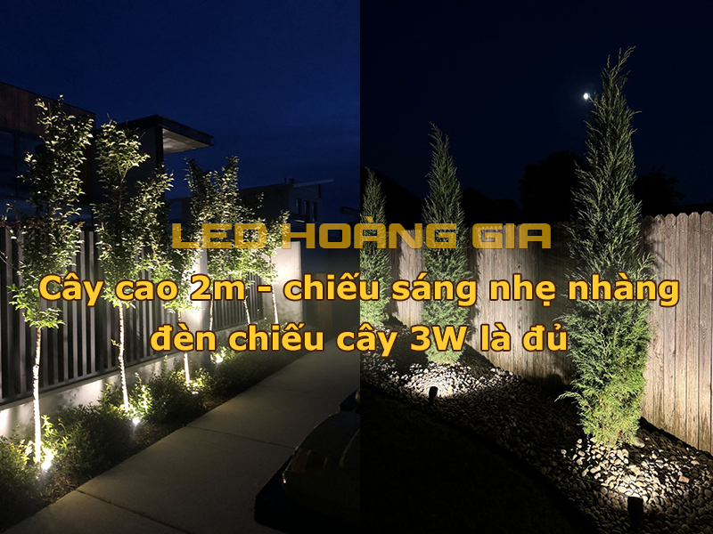 Cây cao 2m chỉ cần chiếu sáng nhẹ lắp đèn 3W là đủ