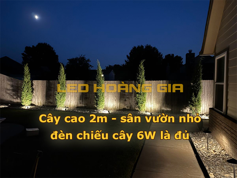 Cây cao 2m, sân vườn nhỏ lắp đèn chiếu cây 6W là đủ