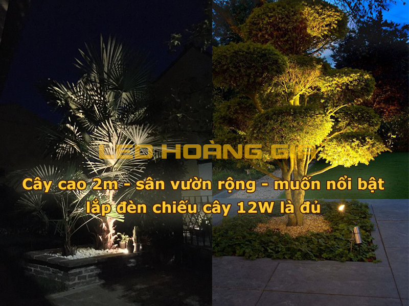 Cây cao 2m, sân vườn rộng, muốn nổi bật lắp đèn led chiếu cây 12W