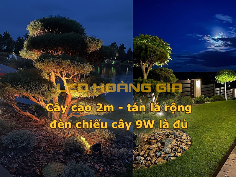 Cây cao tán rộng lắp đèn chiếu cây 9W là đủ