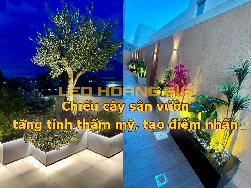 Chiếu cây sân vườn tạo điểm nhấn ấn tượng