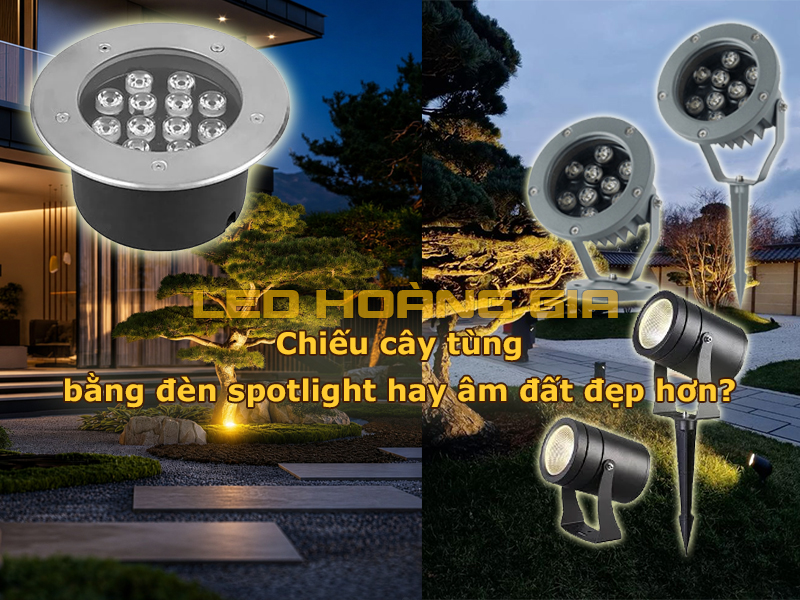 Chiếu cây tùng bằng đèn spotlight hay âm đất đẹp hơn