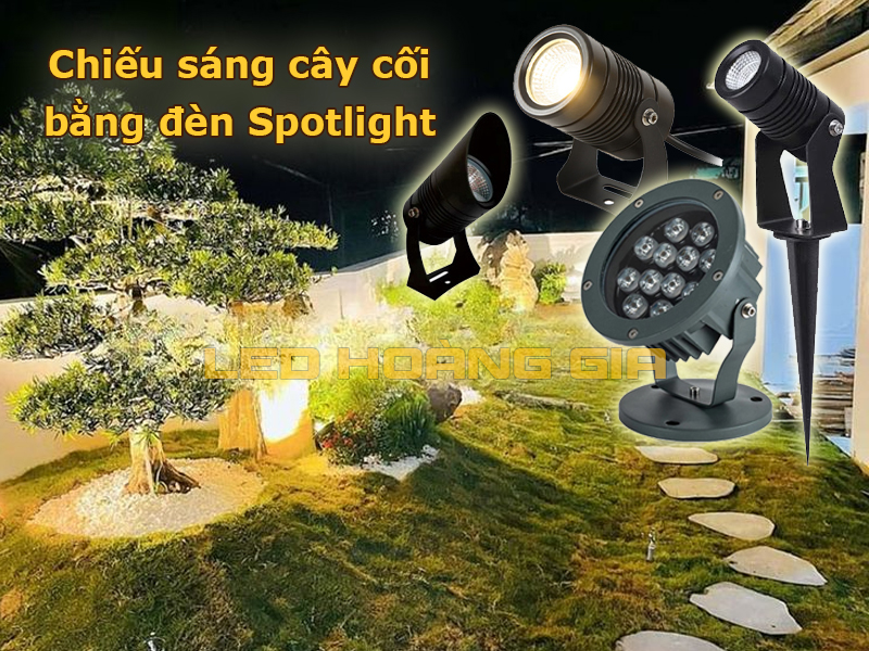 Chiếu sáng cây cối bằng đèn led spotlight