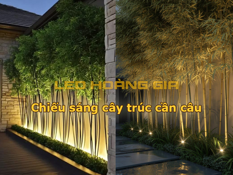 Chiếu sáng cho cây trúc cần câu