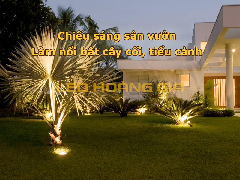 Chiếu sáng sân vườn làm nổi bật cây cối, tiểu cảnh