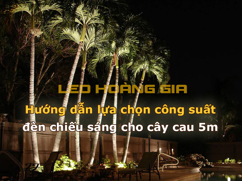 Hướng dẫn lựa chọn công suất đèn cho cây cau 5m