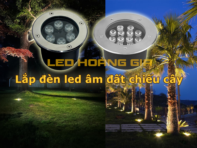 Lắp đèn led âm đất chiếu cây