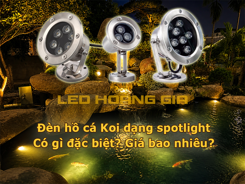 Đèn hồ cá Koi dạng spotlight có gì đặc biệt Giá bao nhiêu