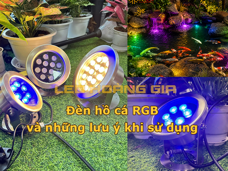 Đèn hồ cá RGB và những lưu ý khi sử dụng