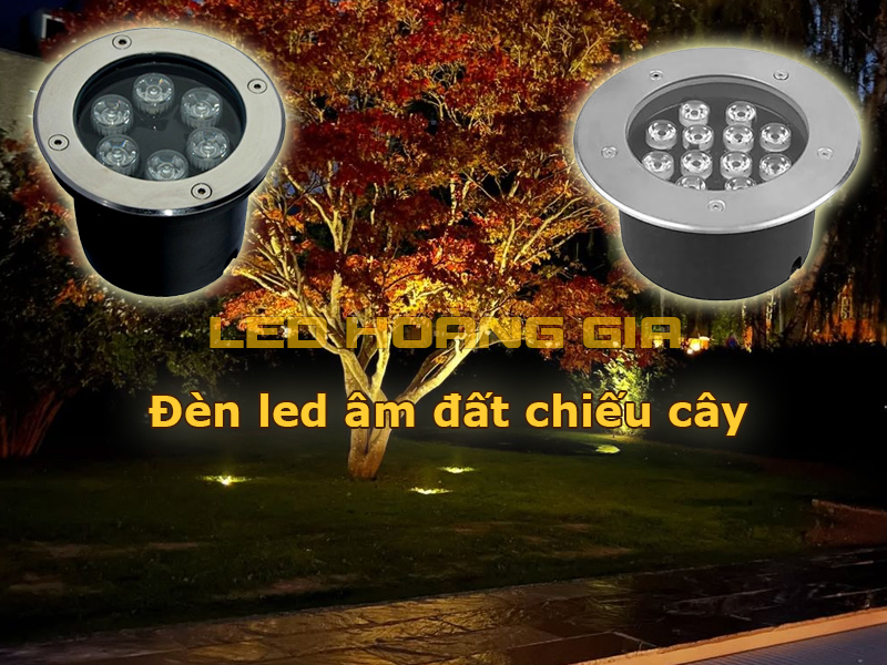 Đèn led âm đất chiếu cây
