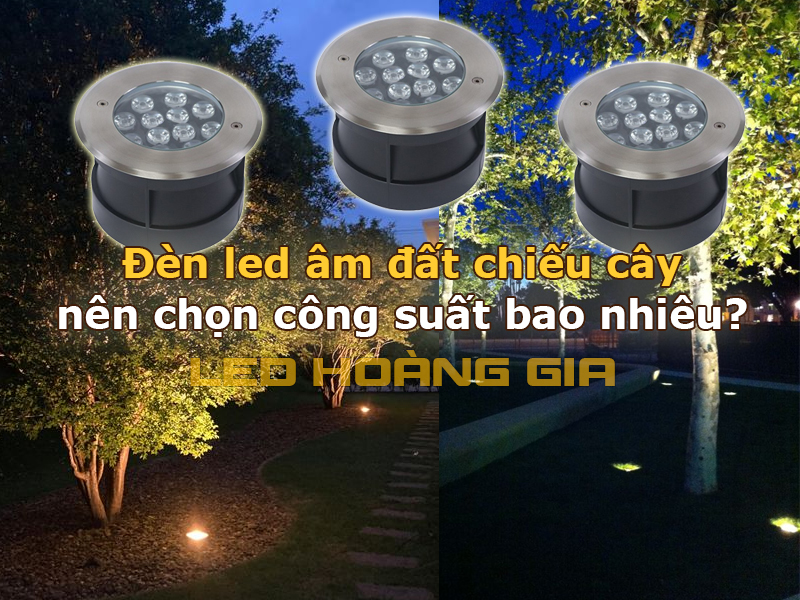 Đèn led âm đất chiếu cây nên chọn công suất bao nhiêu?