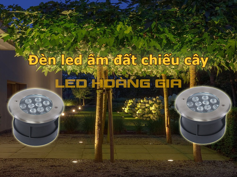 Đèn led âm đất chiếu cây