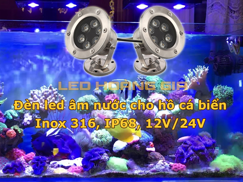 Đèn led âm nước cho hồ cá biển