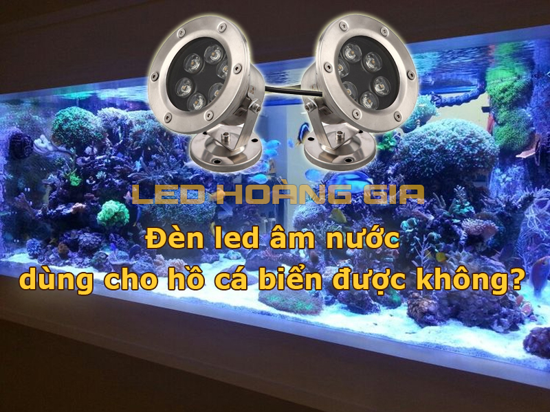 Đèn led âm nước dùng cho hồ cá biển được không