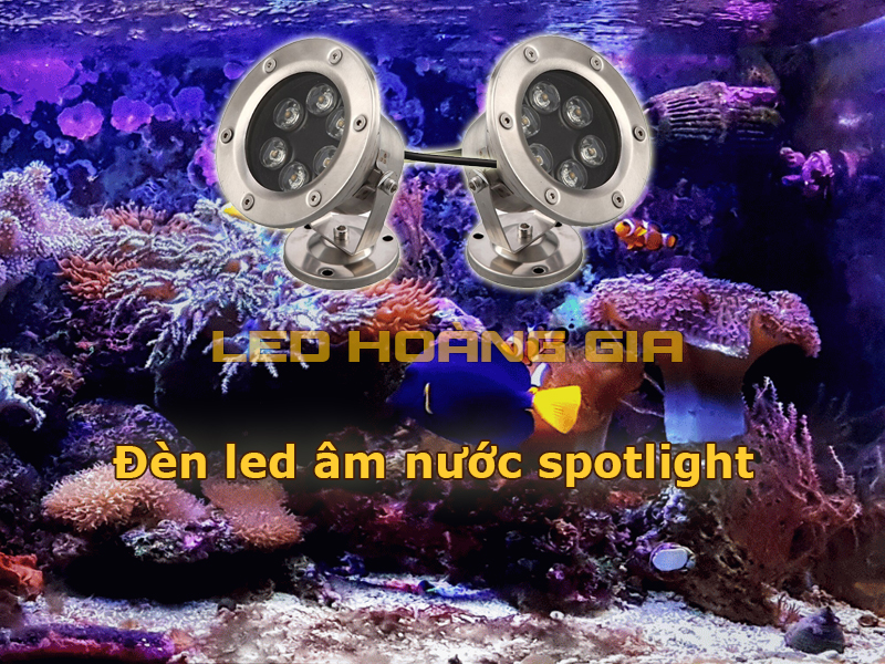 Đèn led âm nước spotlight cho hồ cá biển