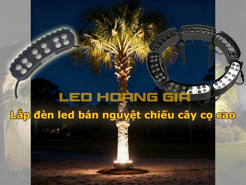 Lắp đèn led bán nguyệt chiếu cây cọ cao