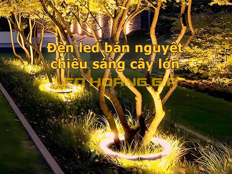 Đèn led bán nguyệt chiếu cây lớn