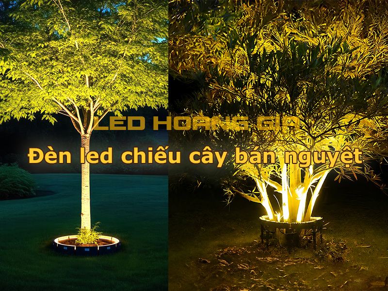 Đèn chiếu cây bán nguyệt