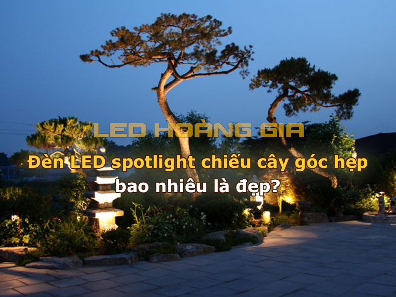 Đèn LED spotlight chiếu cây góc hẹp